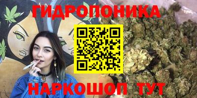 соль ск Кимры