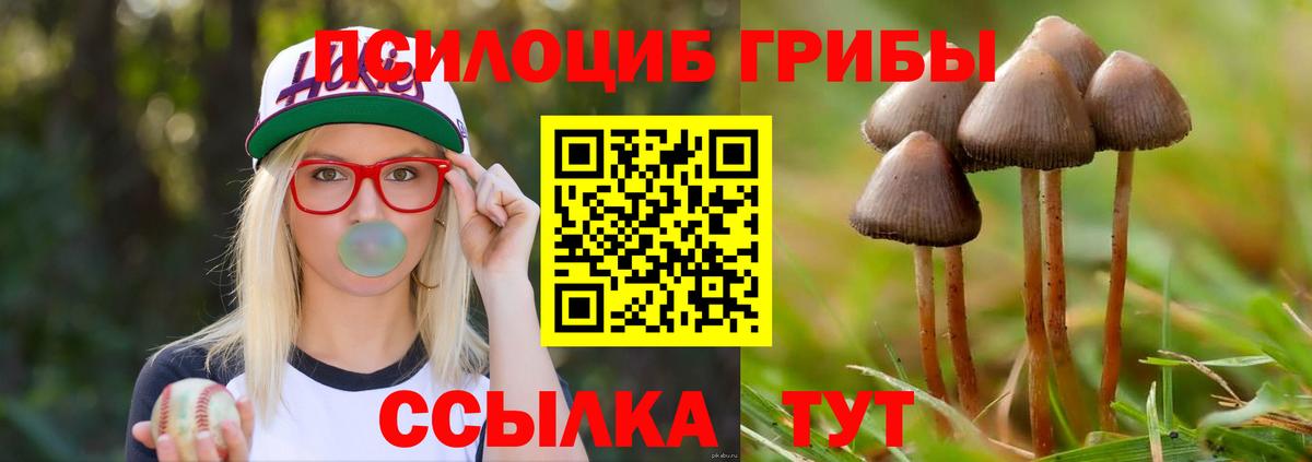Галлюциногенные грибы Cubensis Краснознаменск